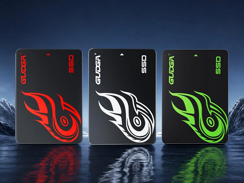 2.5 SATA SSD